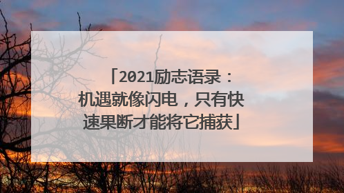 2021励志语录：机遇就像闪电，只有快速果断才能将它捕获