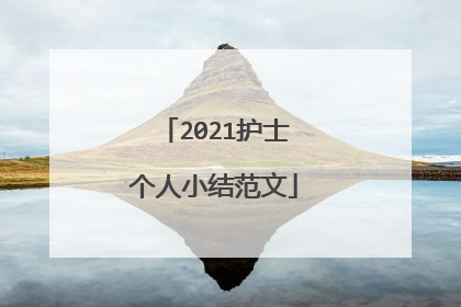 2021护士个人小结范文