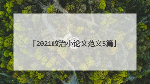 2021政治小论文范文5篇