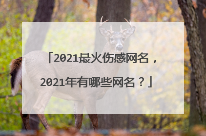 2021最火伤感网名,2021年有哪些网名?