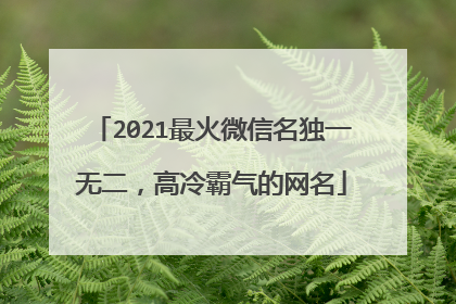 2021最火微信名独一无二,高冷霸气的网名