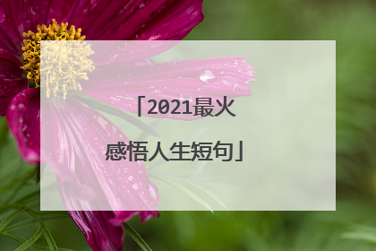 2021最火感悟人生短句