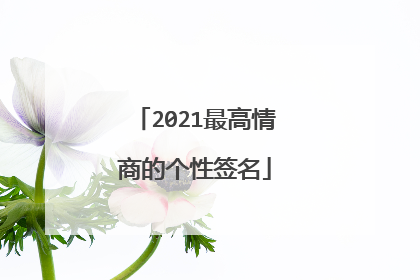 2021最高情商的个性签名