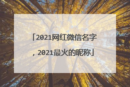 2021网红微信名字，2021最火的昵称