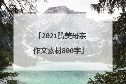 2021赞美母亲作文素材800字