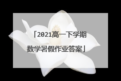 2021高一下学期数学暑假作业答案