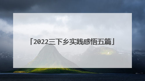 2022三下乡实践感悟五篇