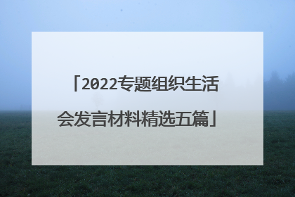 2022专题组织生活会发言材料精选五篇