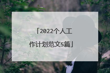 2022个人工作计划范文5篇