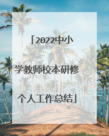 2022中小学教师校本研修个人工作总结