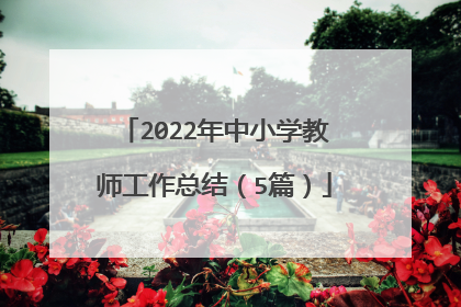 2022年中小学教师工作总结(5篇)