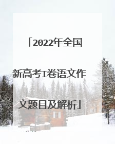2022年全国新高考I卷语文作文题目及解析