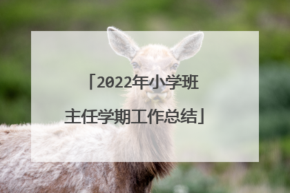 2022年小学班主任学期工作总结