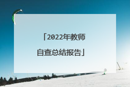 2022年教师自查总结报告