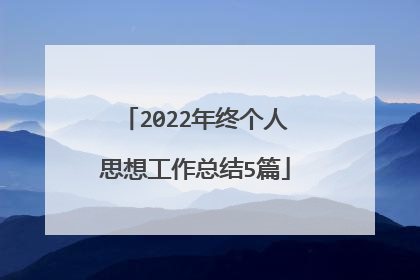 2022年终个人思想工作总结5篇