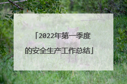 2022年第一季度的安全生产工作总结