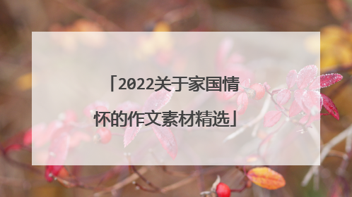 2022关于家国情怀的作文素材精选