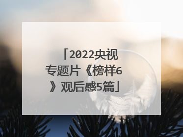 2022央视专题片《榜样6》观后感5篇