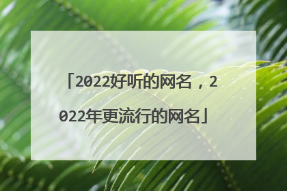 2022好听的网名,2022年更流行的网名