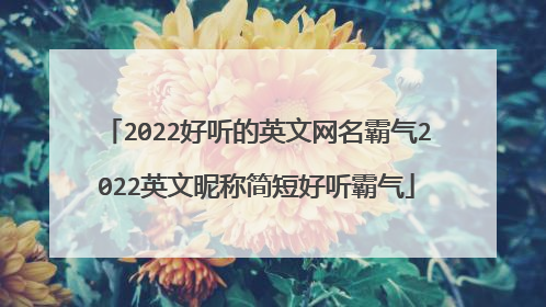 2022好听的英文网名霸气2022英文昵称简短好听霸气