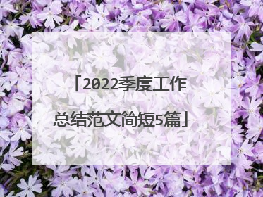 2022季度工作总结范文简短5篇