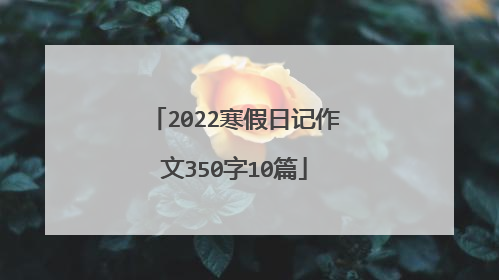 2022寒假日记作文350字10篇