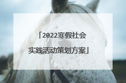 2022寒假社会实践活动策划方案