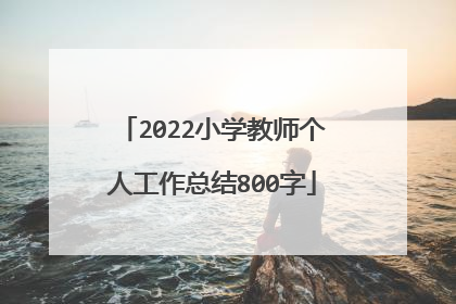 2022小学教师个人工作总结800字