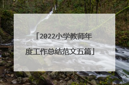 2022小学教师年度工作总结范文五篇