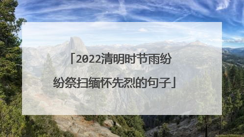 2022清明时节雨纷纷祭扫缅怀先烈的句子
