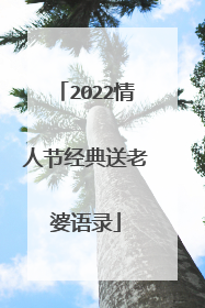 2022情人节经典送老婆语录