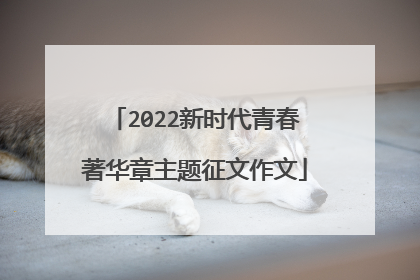 2022新时代青春著华章主题征文作文