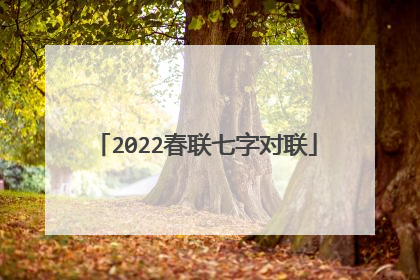 2022春联七字对联