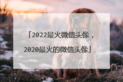 2022最火微信头像,2020最火的微信头像