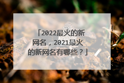 2022最火的新网名,2021最火的新网名有哪些?