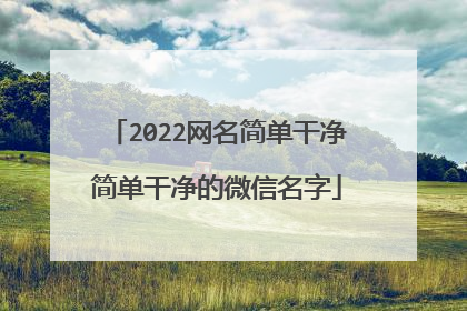 2022网名简单干净简单干净的微信名字