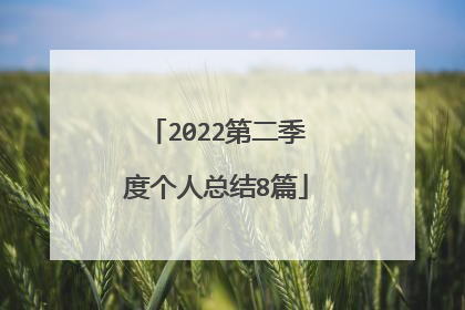 2022第二季度个人总结8篇