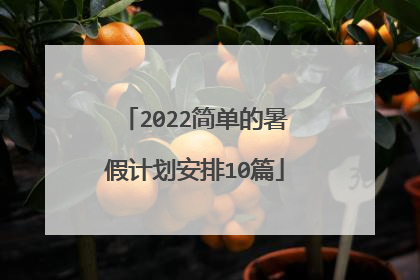2022简单的暑假计划安排10篇
