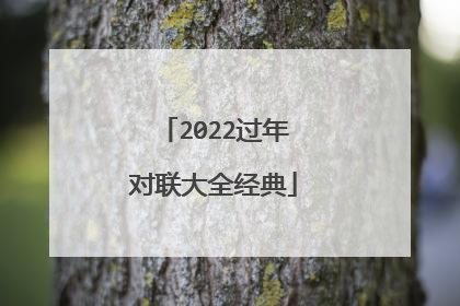 2022过年对联大全经典