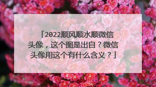 2022顺风顺水顺微信头像,这个图是出自?微信头像用这个有什么含义?