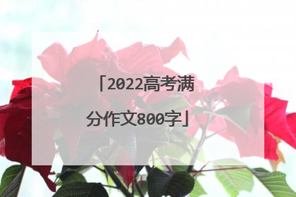 2022高考满分作文800字