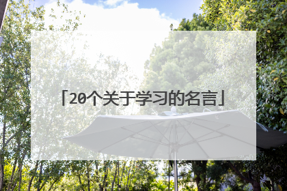 20个关于学习的名言