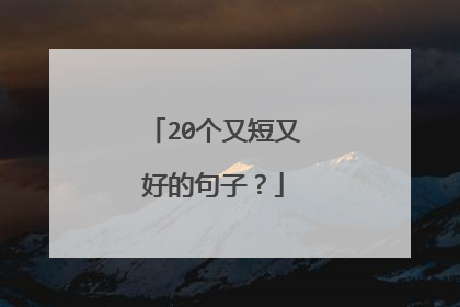 20个又短又好的句子？