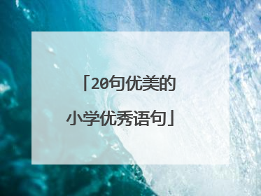 20句优美的小学优秀语句