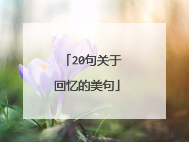 20句关于回忆的美句