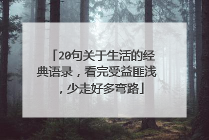 20句关于生活的经典语录，看完受益匪浅，少走好多弯路
