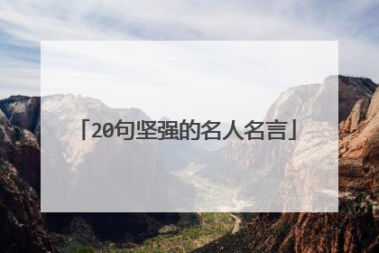 20句坚强的名人名言