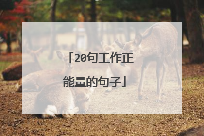 20句工作正能量的句子