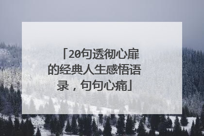 20句透彻心扉的经典人生感悟语录，句句心痛