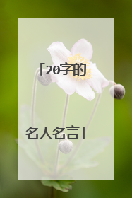 20字的名人名言